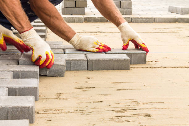 Best Driveway Paving Near Me  in Ripley, OH